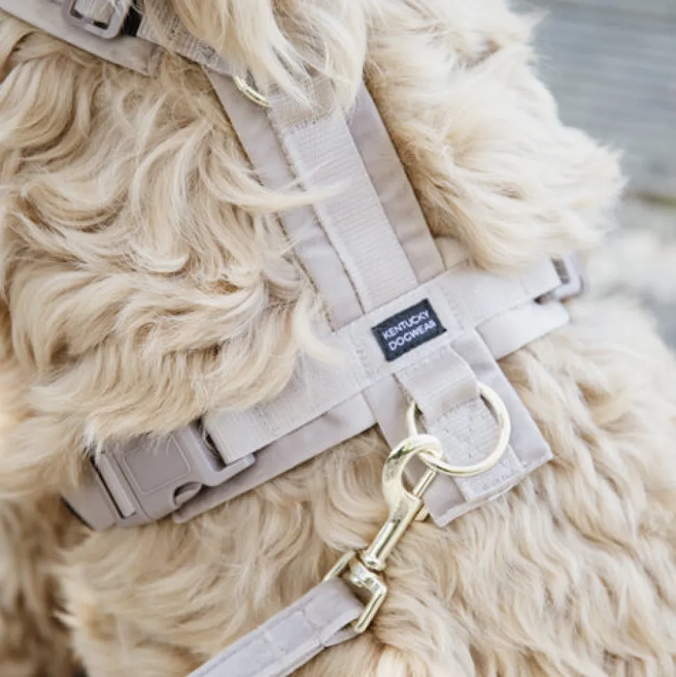 Kentucky Dog Harness Active Velvet