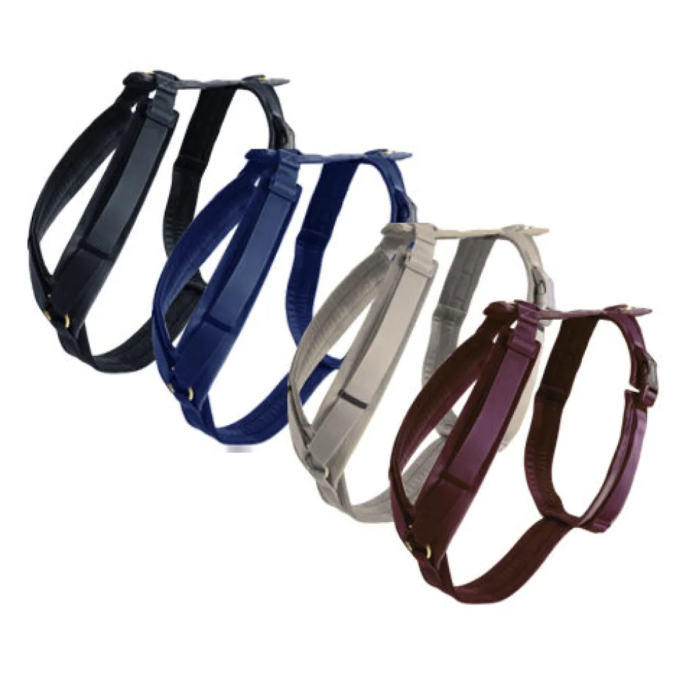 Kentucky Dog Harness Active Velvet