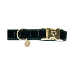 Kentucky Dogwear Corduroy Hondenhalsband