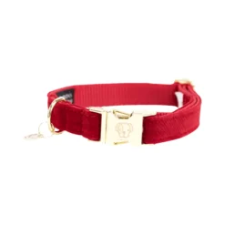 Kentucky Dogwear Corduroy Hondenhalsband