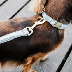 Kentucky Dogwear Hondenhalsband Wool