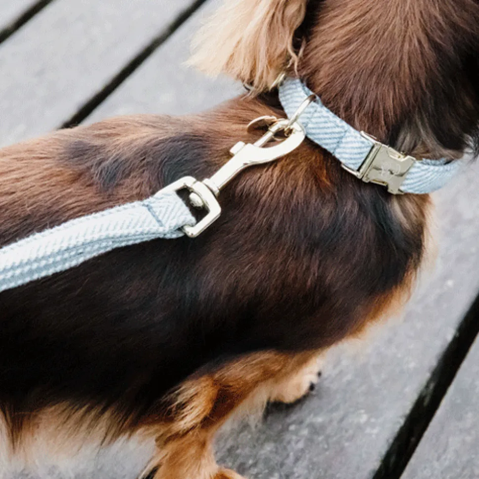 Kentucky Dogwear Hondenhalsband Wool