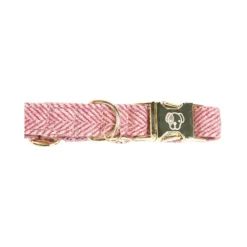 Kentucky Dogwear Hondenhalsband Wool