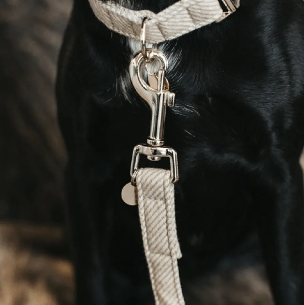 Kentucky Dogwear Hondenlijn Wool