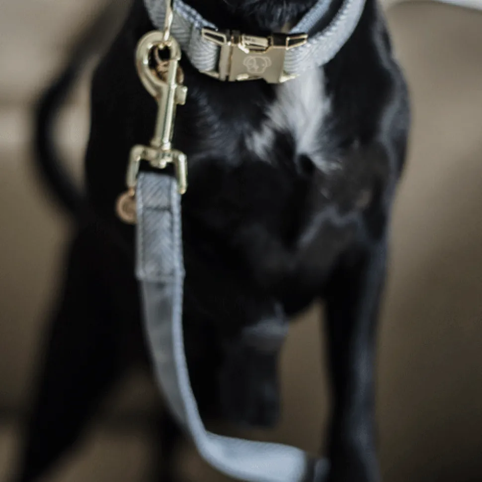 Kentucky Dogwear Hondenlijn Wool