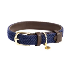 Kentucky Dogwear Nylon Hondenhalsband