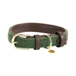 Kentucky Dogwear Nylon Hondenhalsband