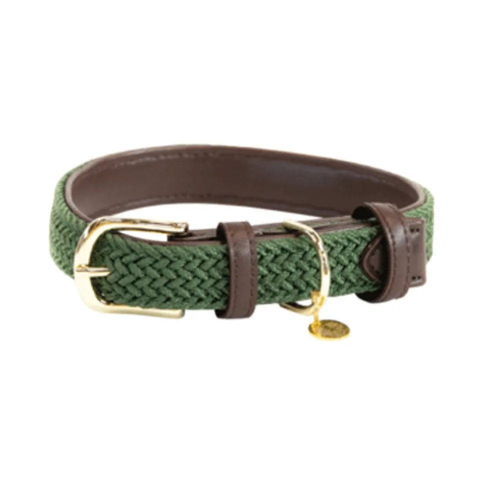 Kentucky Dogwear Nylon Hondenhalsband