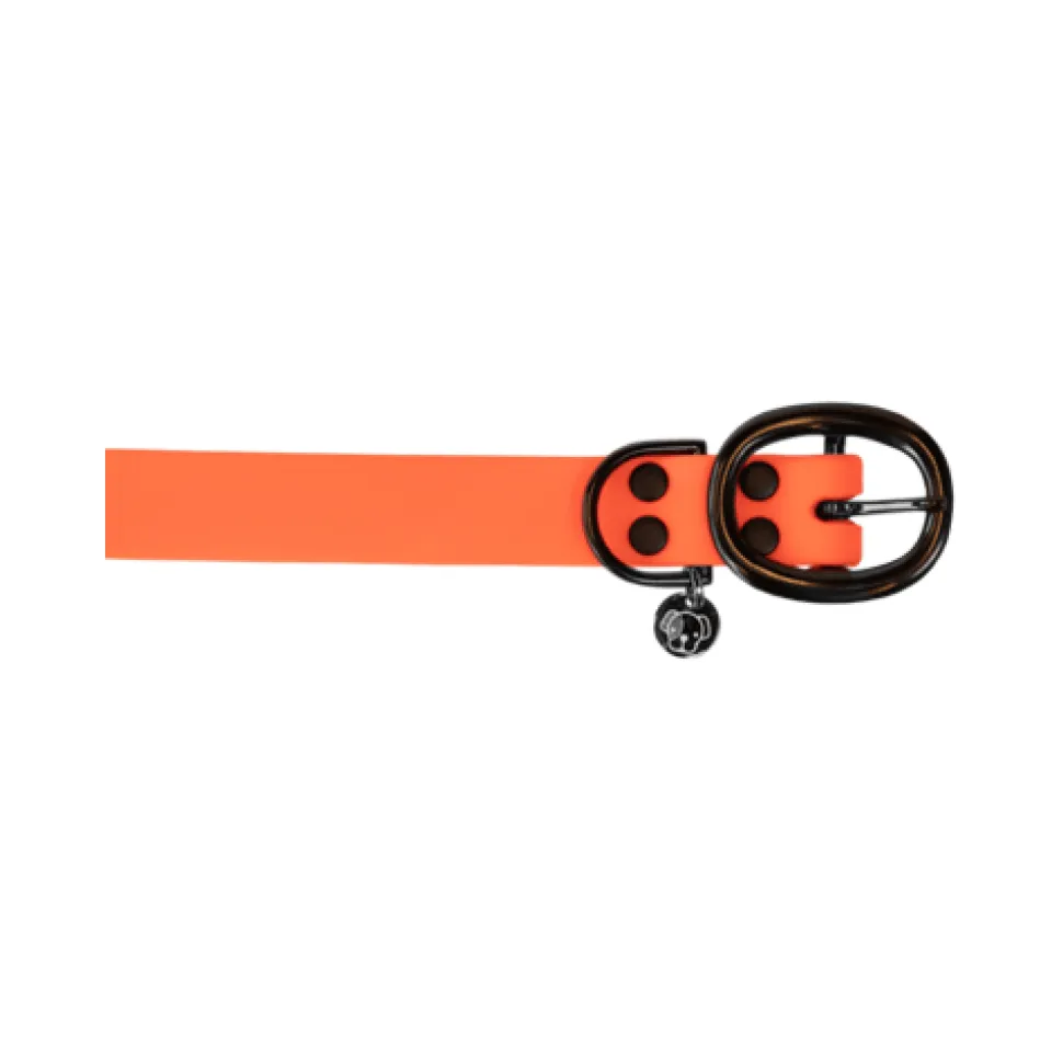 Kentucky Dogwear Soft Rubber Hondenhalsband