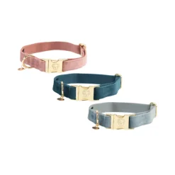 Kentucky Dogwear Velvet Hondenhalsband