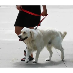 KONG Adjustable Leash - Zwart