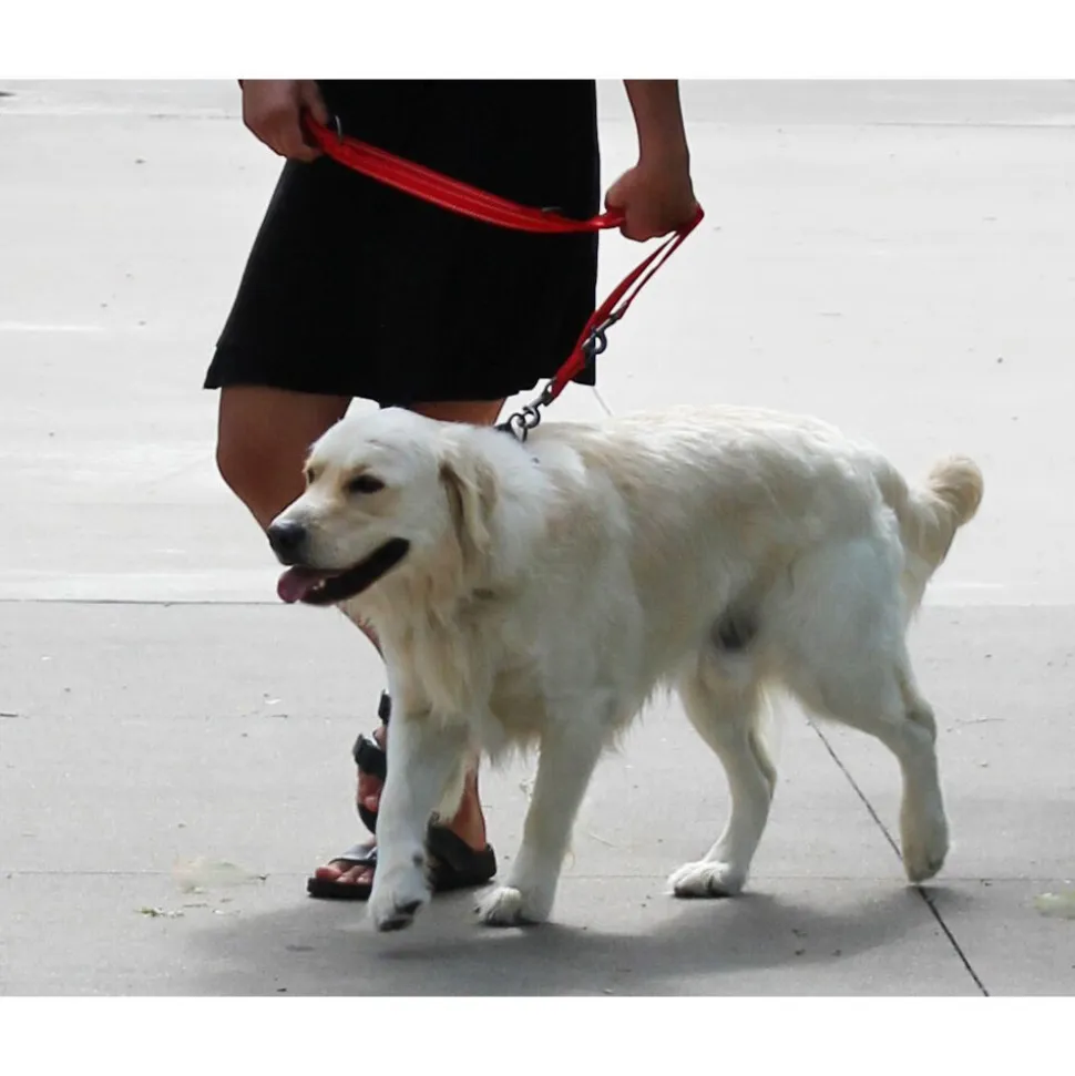 KONG Adjustable Leash - Zwart