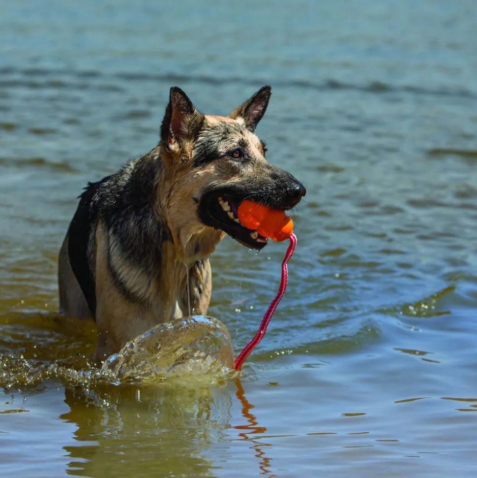 KONG Aqua met werptouw