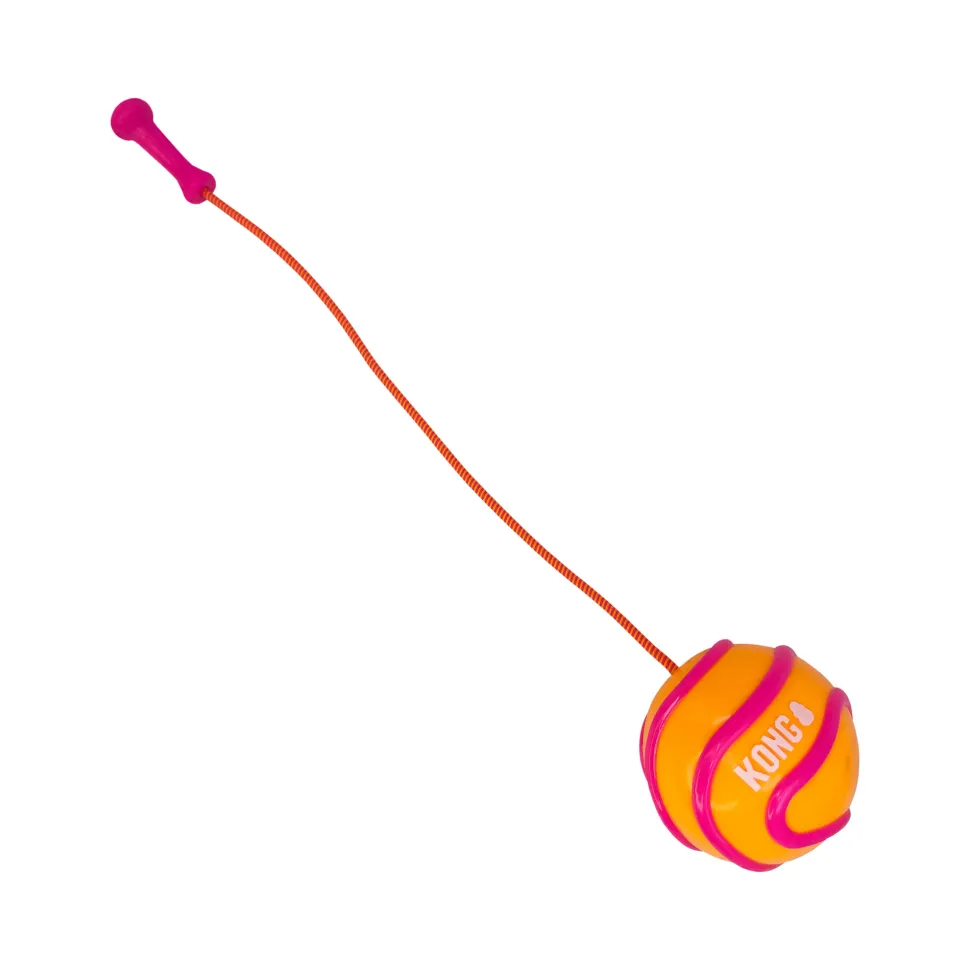 KONG Bunji High-Viz Ball