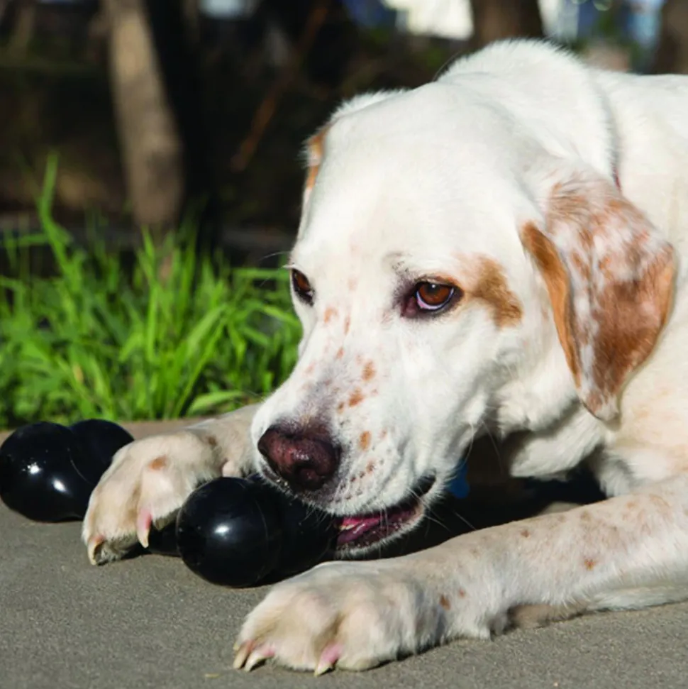 KONG Extreme Goodie Bone