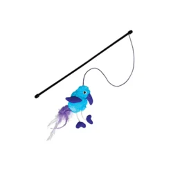 KONG Kat - Feather Teaser