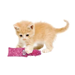 KONG Kat - Kitten Kickeroo