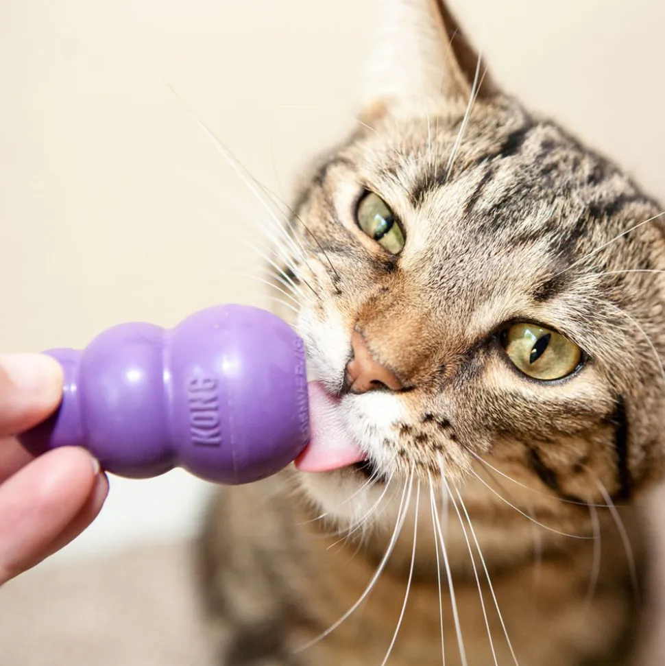 KONG Kat - Kitty KONG