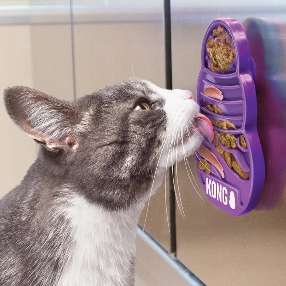 KONG Licks Kitty
