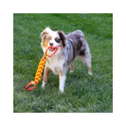 KONG Maxx Tug