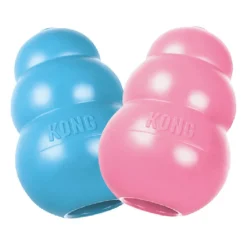 KONG Puppy