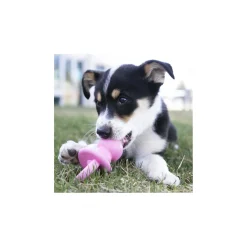 KONG Puppy Binkie