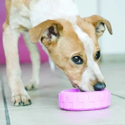 KONG Puppy Tyres