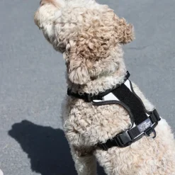 K9 Sport Sack Harness