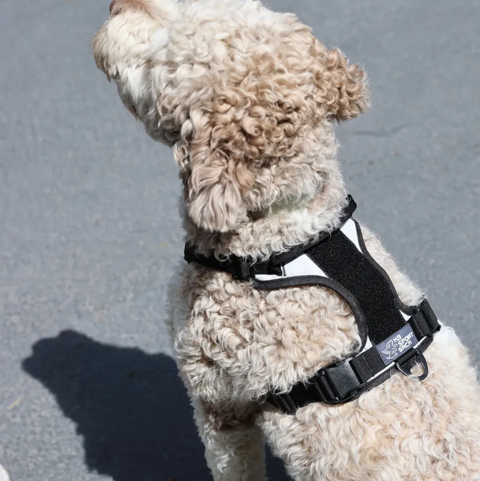 K9 Sport Sack Harness
