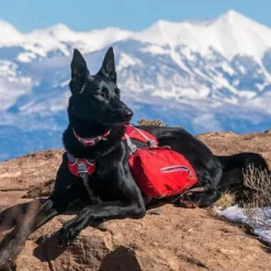 Kurgo Baxter Backpack