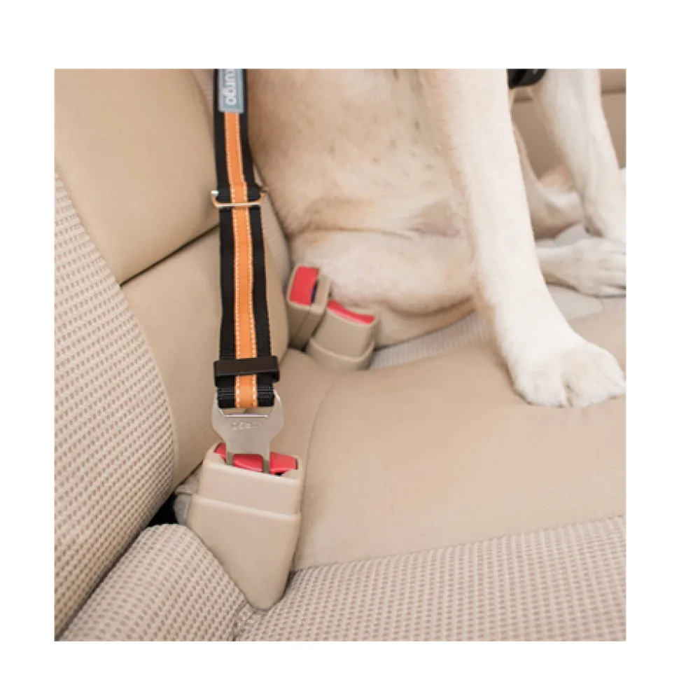 Kurgo Direct To Seat Belt Tether