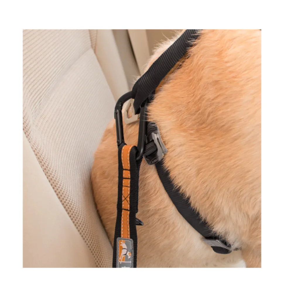 Kurgo Direct To Seat Belt Tether