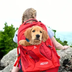 Kurgo G-Train Pack