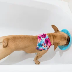 LickiMat Splash