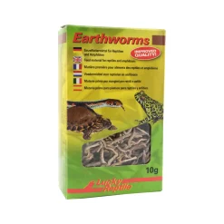 Lucky Reptile Earthworms