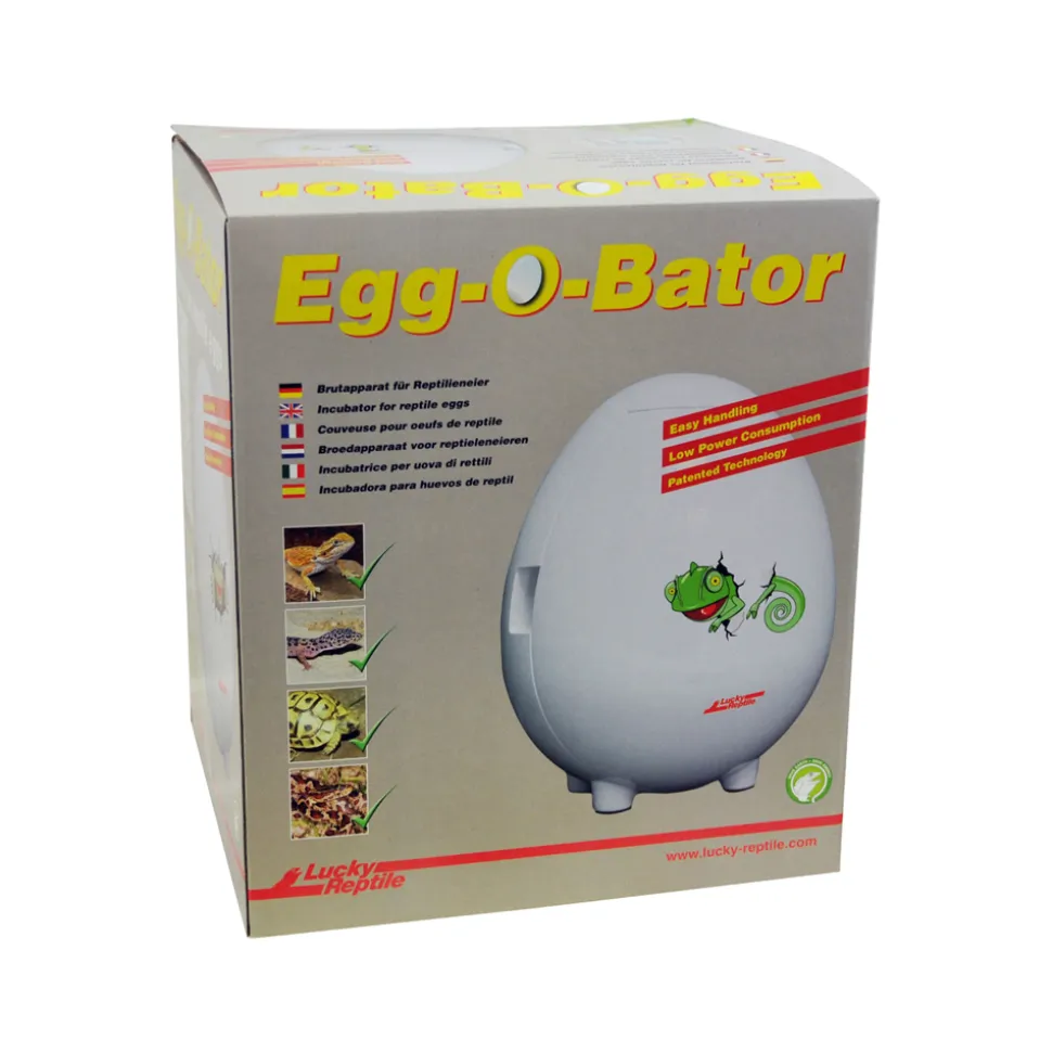 Lucky Reptile Egg-O-Bator