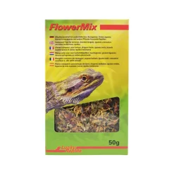 Lucky Reptile Flower Mix