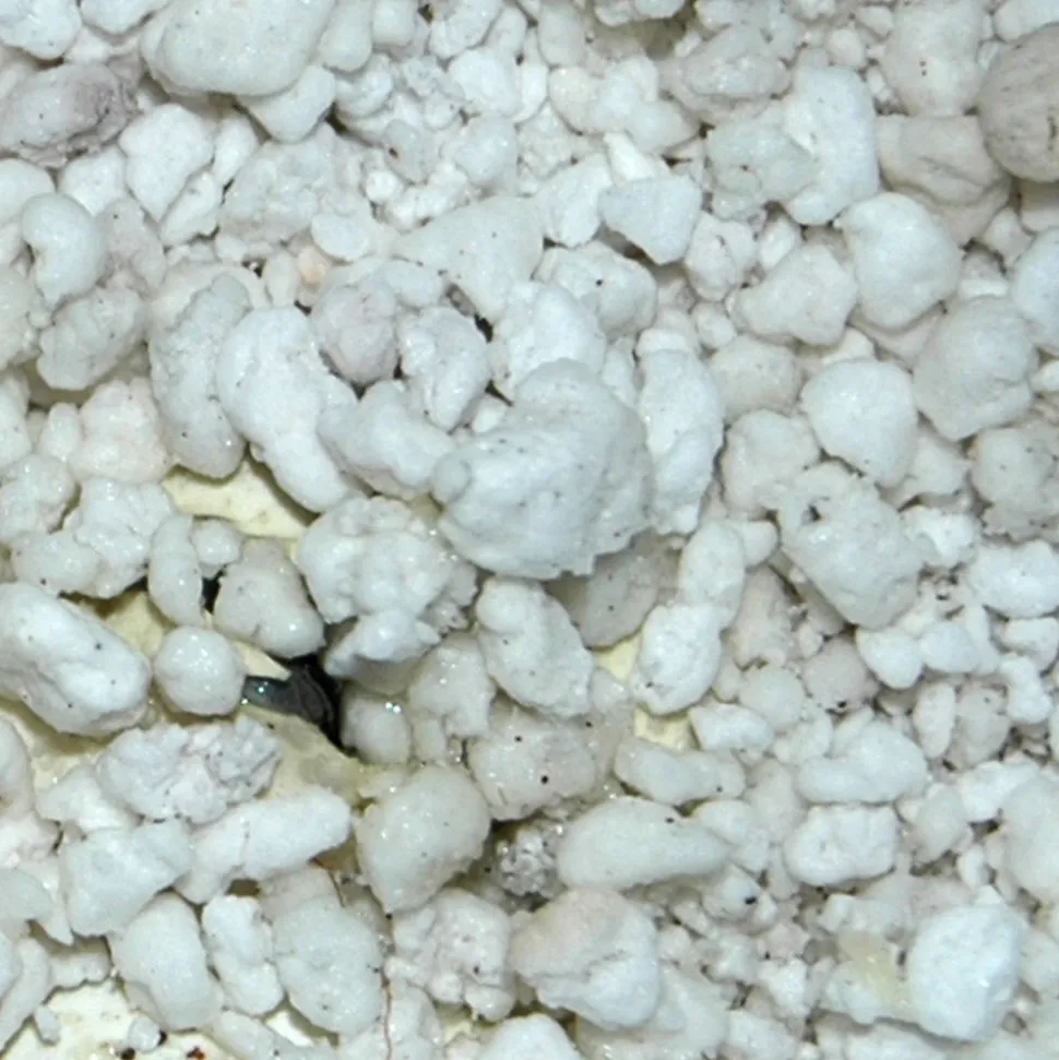Lucky Reptile HatchRite