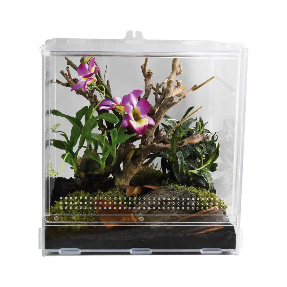 Lucky Reptile LifeTarrium