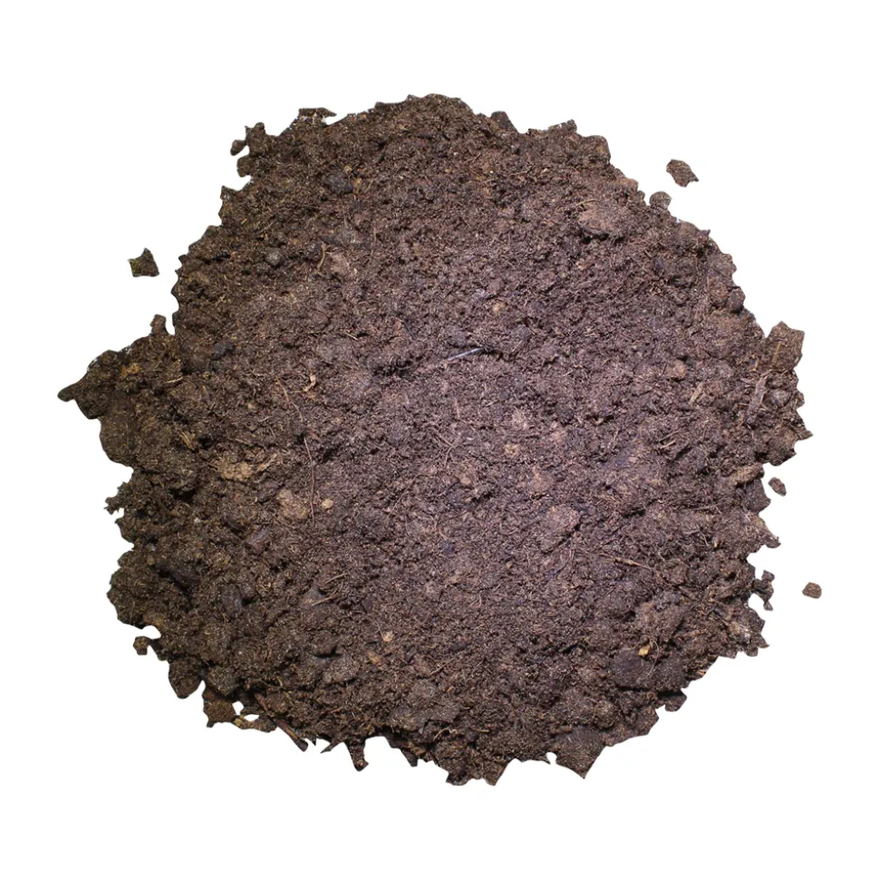 Lucky Reptile Tortoise Bedding