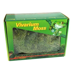 Lucky Reptile Vivarium Moss