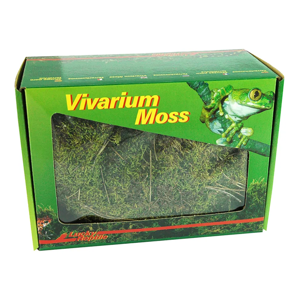 Lucky Reptile Vivarium Moss