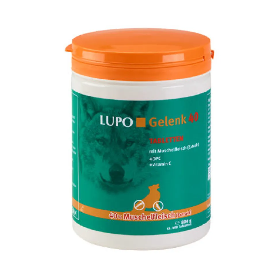 Luposan Gelenk 40 - Tabletten