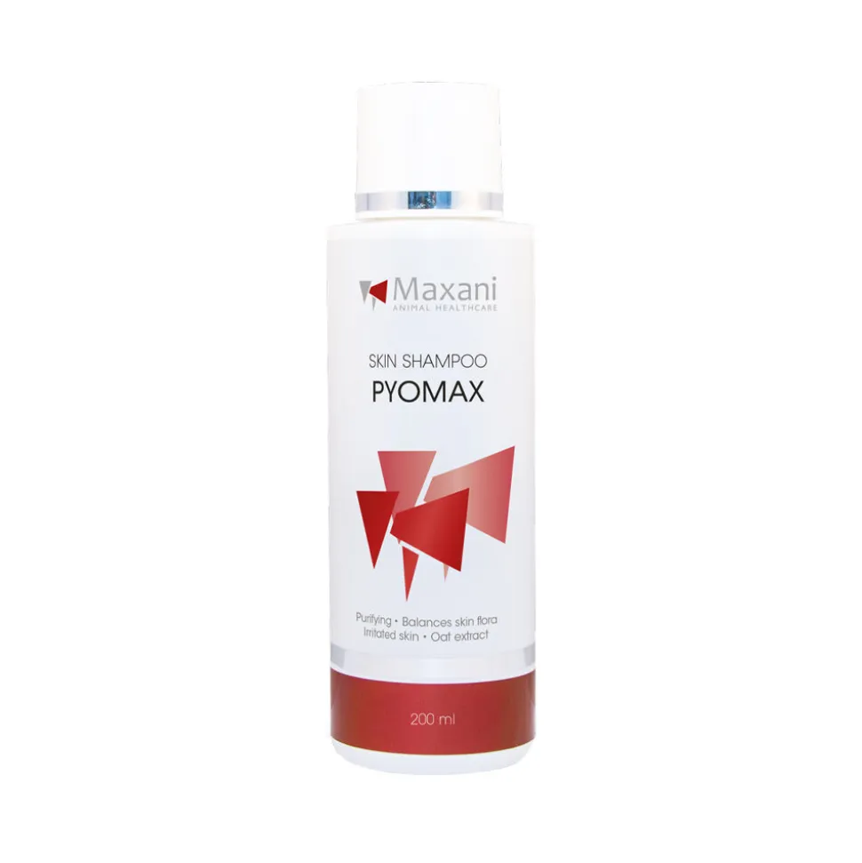 Maxani PyoMax Skin Shampoo