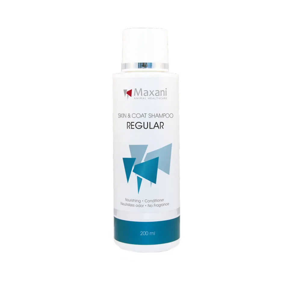 Maxani Regular Shampoo