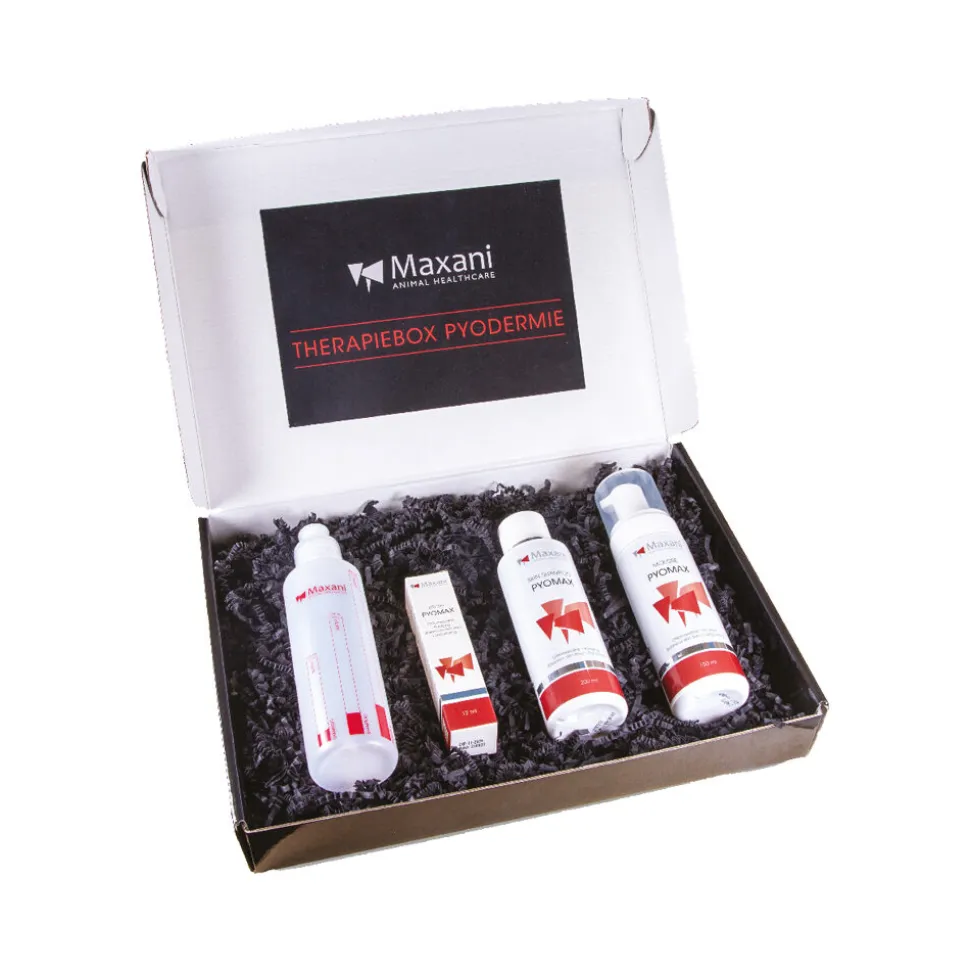 Maxani Therapiebox Pyodermie