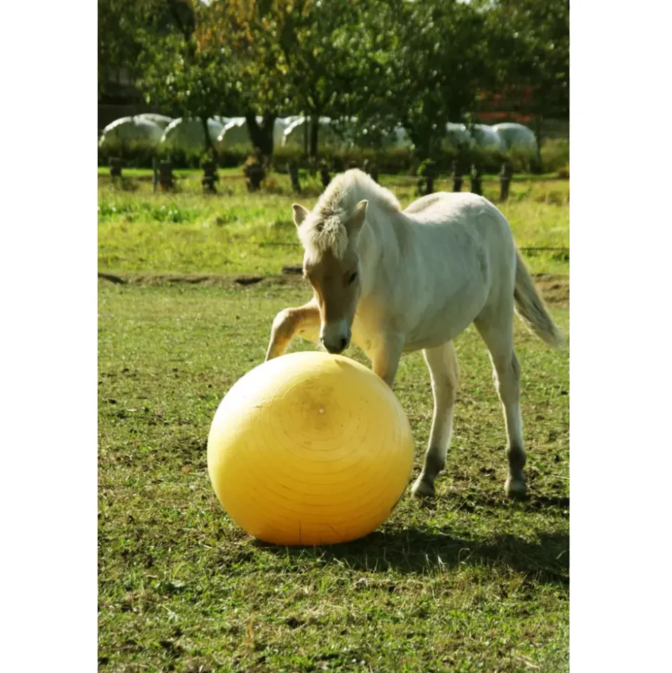 Maximus Power Play Ball