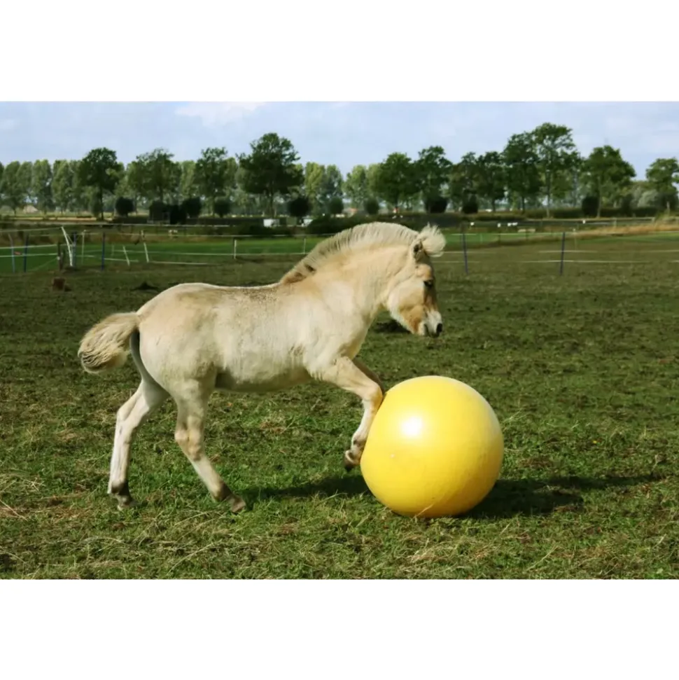 Maximus Power Play Ball