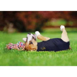 Medical Pet Shirt Hond