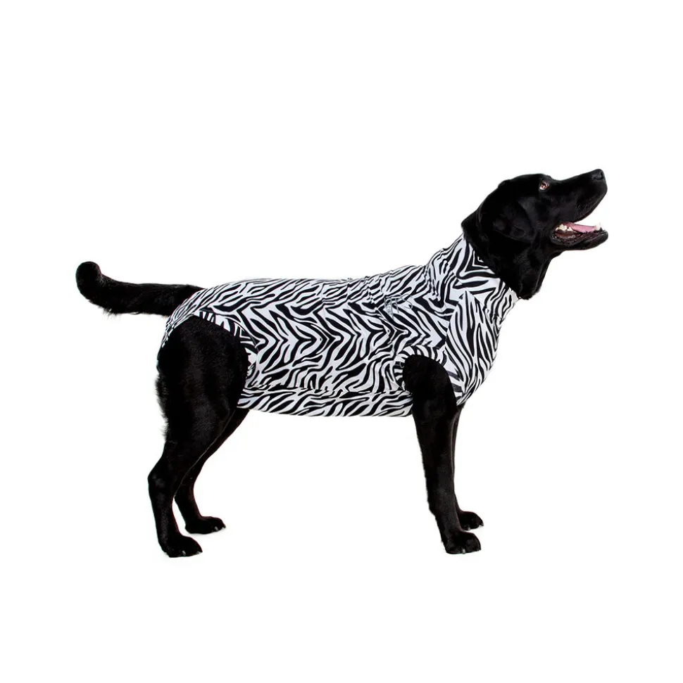 Medical Pet Shirt Hond Zebra Print